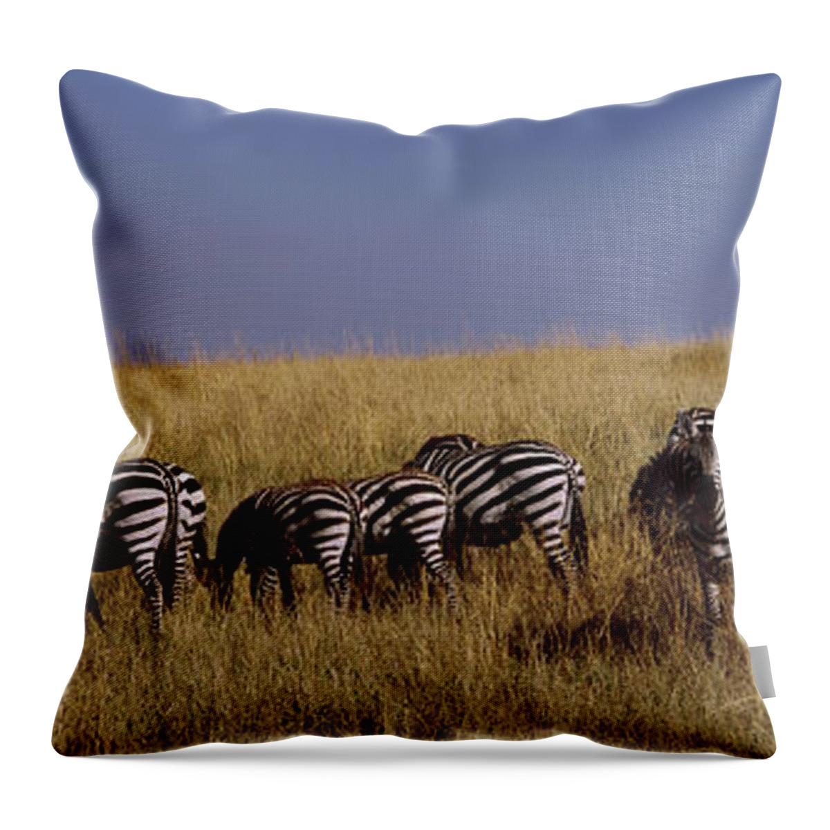 Photography Throw Pillow featuring the photograph Zebra Migration, Masai Mara National #2 by Animal Images