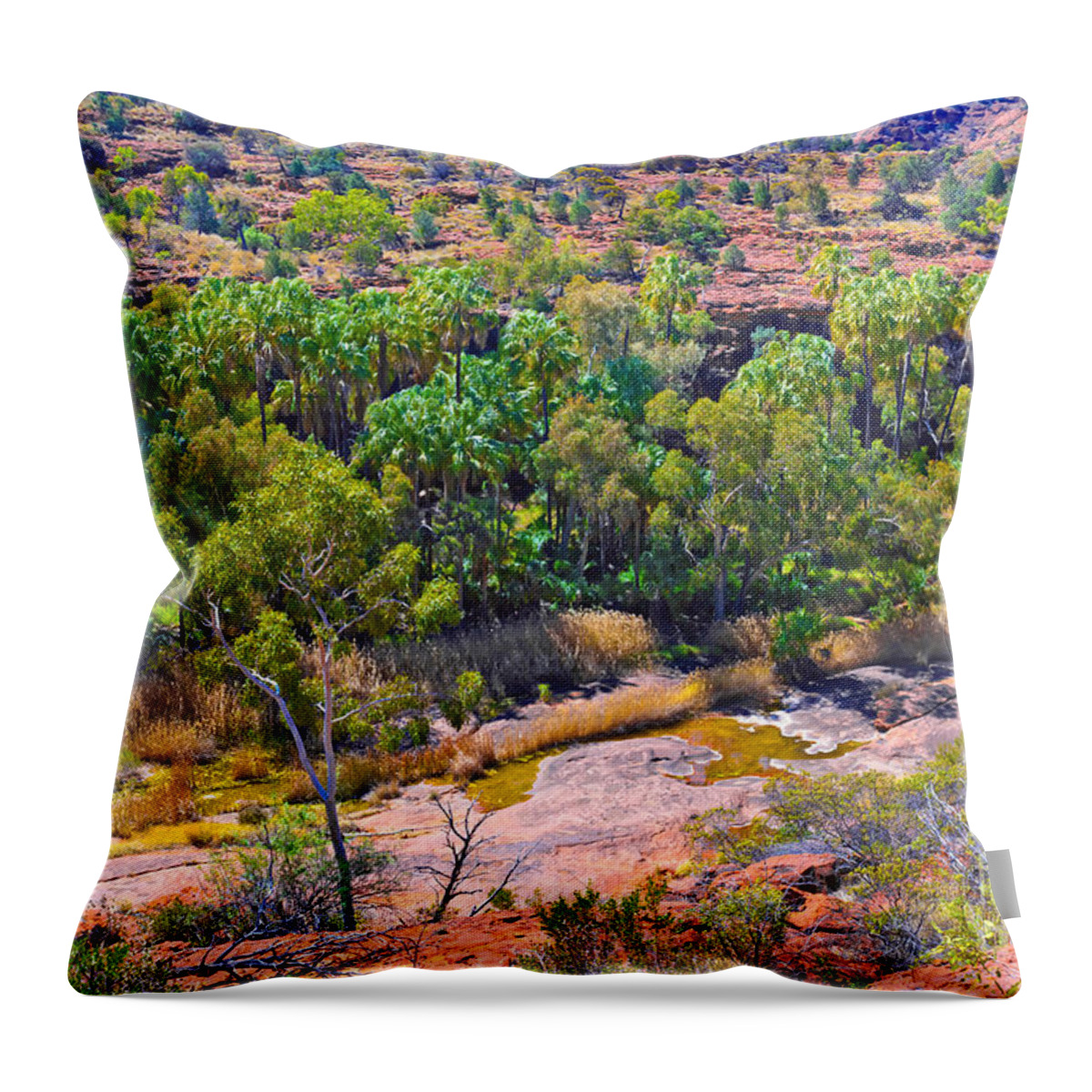 Palm Valley Central Australia Outback Landscape Australian Trees Throw Pillow featuring the photograph Palm Valley Central Australia #20 by Bill Robinson