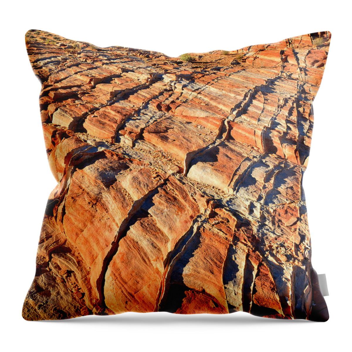 Valley Of Fire State Park Throw Pillow featuring the photograph Valley of Fire #336 by Ray Mathis