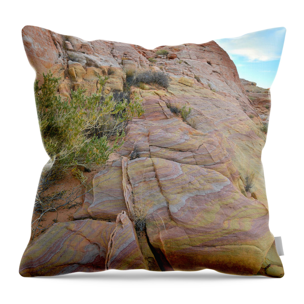 Valley Of Fire State Park Throw Pillow featuring the photograph Valley of Fire #231 by Ray Mathis
