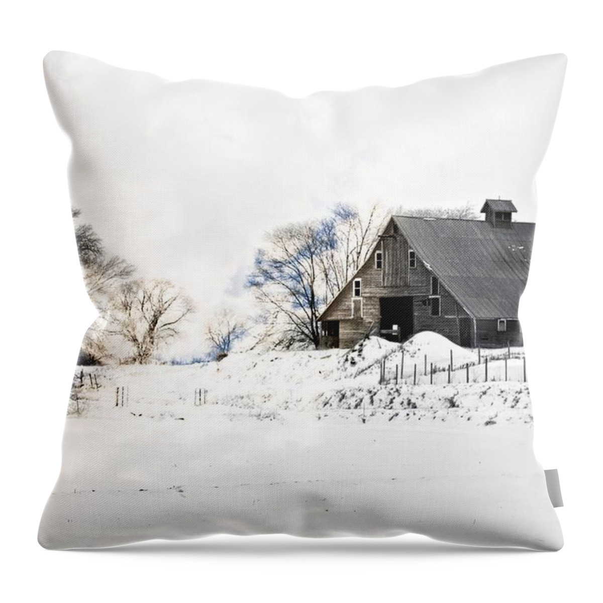 Barn Throw Pillow featuring the photograph Idaho Falls #24 by Image Takers Photography LLC