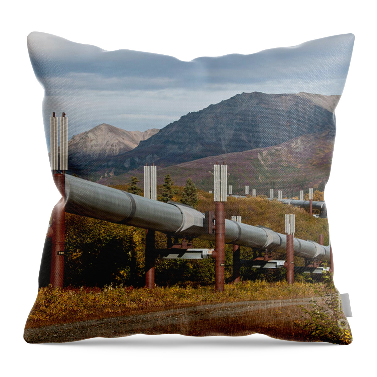 Nature Throw Pillow featuring the photograph Alaska Oil Pipeline #3 by Mark Newman