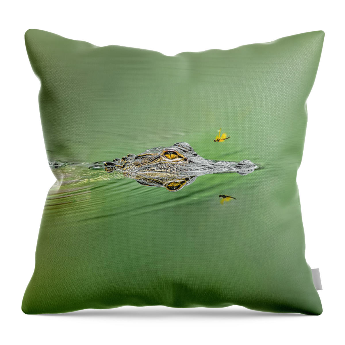 Aggression Throw Pillow featuring the photograph Alligator #3 by Peter Lakomy