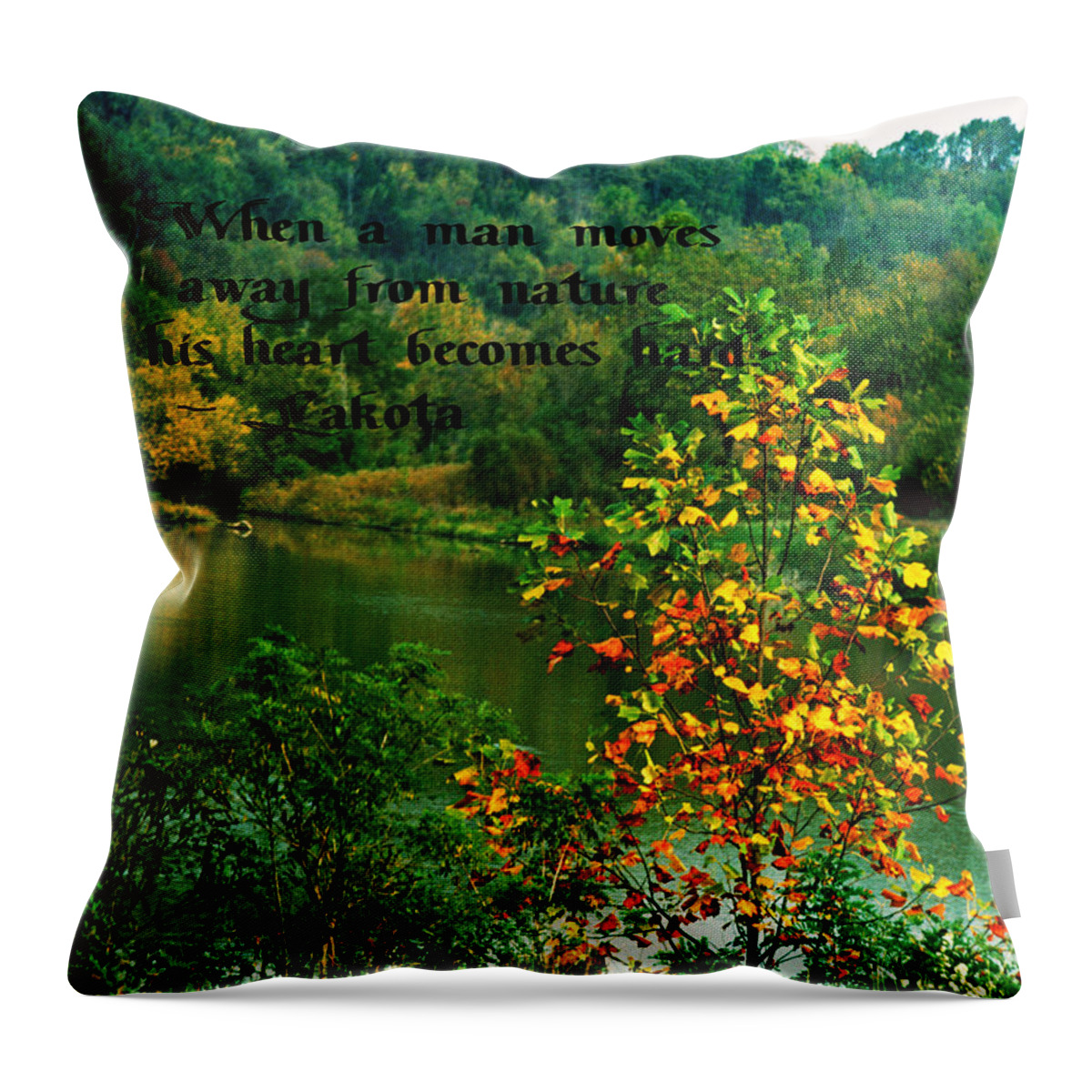 Autumn Throw Pillow featuring the photograph Autumn Colors #3 by Gary Wonning