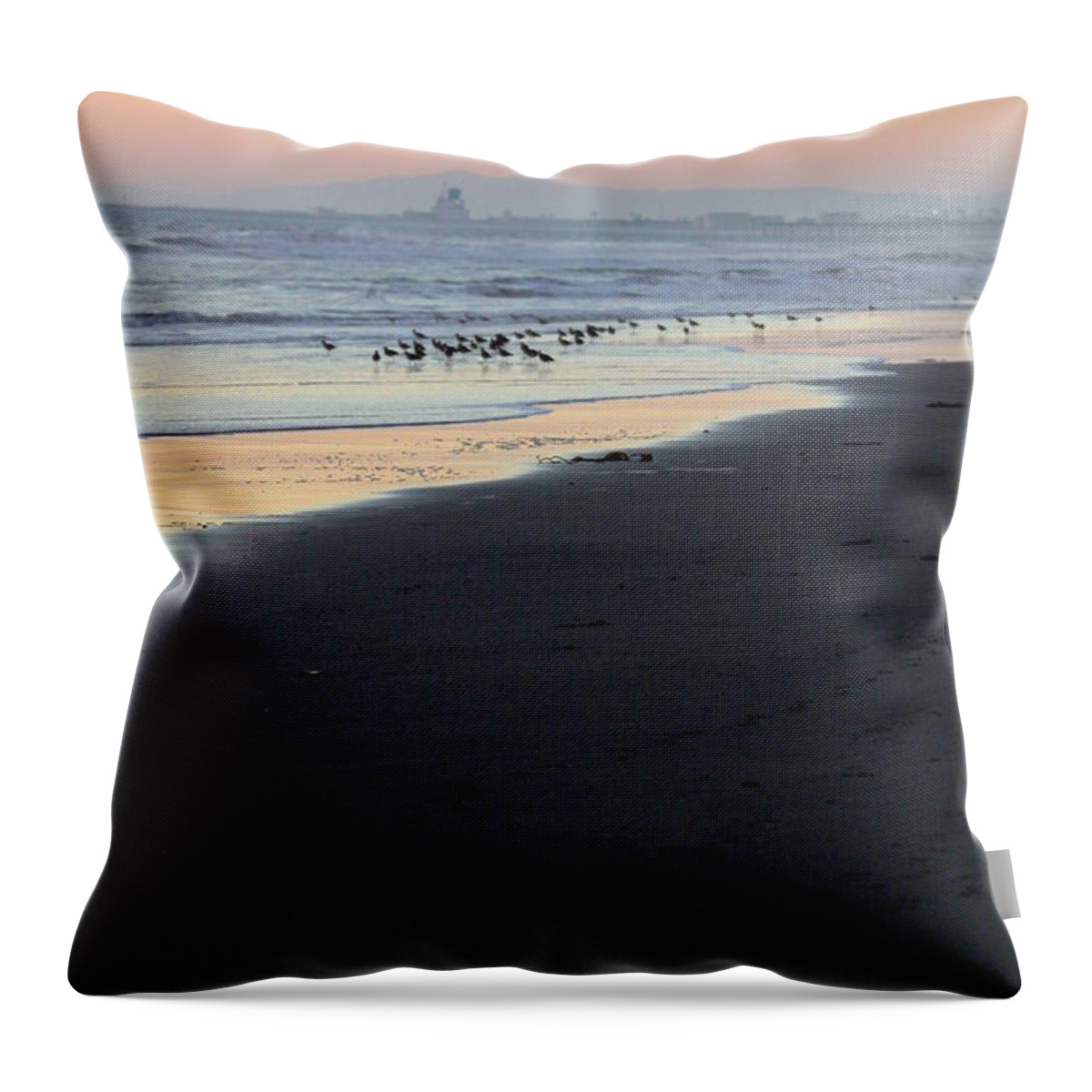 Beach Throw Pillow featuring the photograph Beach Sunset Ormond Beach #3 by Henrik Lehnerer