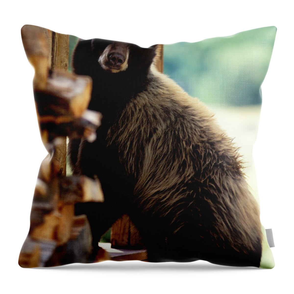 Animal Throw Pillow featuring the photograph Black Bear #3 by Greg Ochocki
