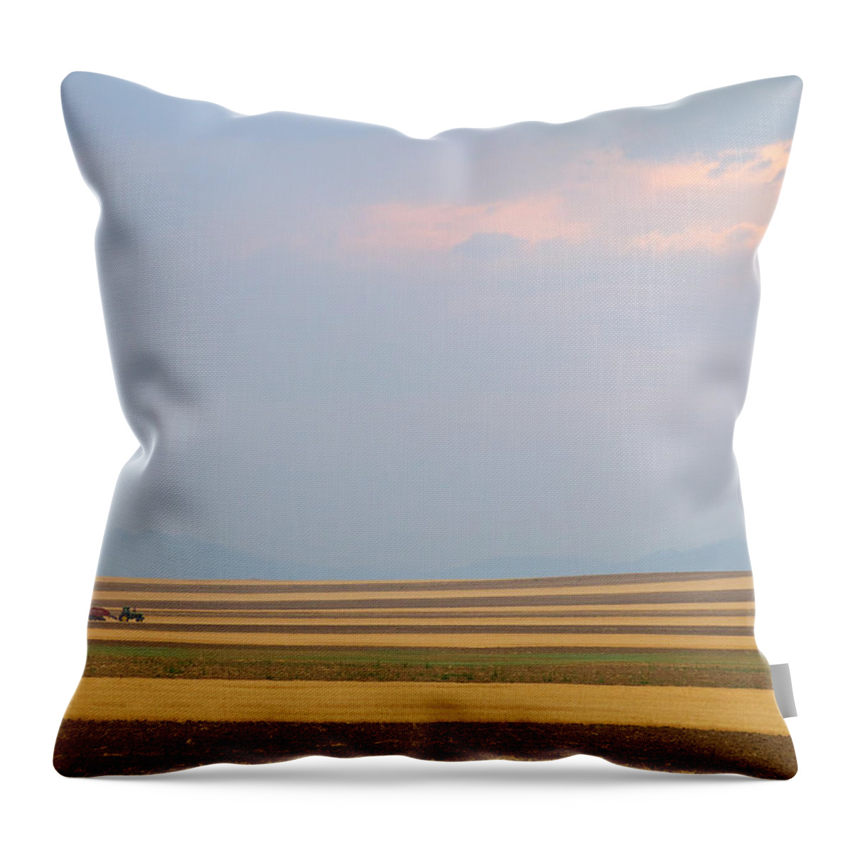 View Throw Pillow featuring the photograph Boulder County Colorado Open Space Country View #3 by James BO Insogna
