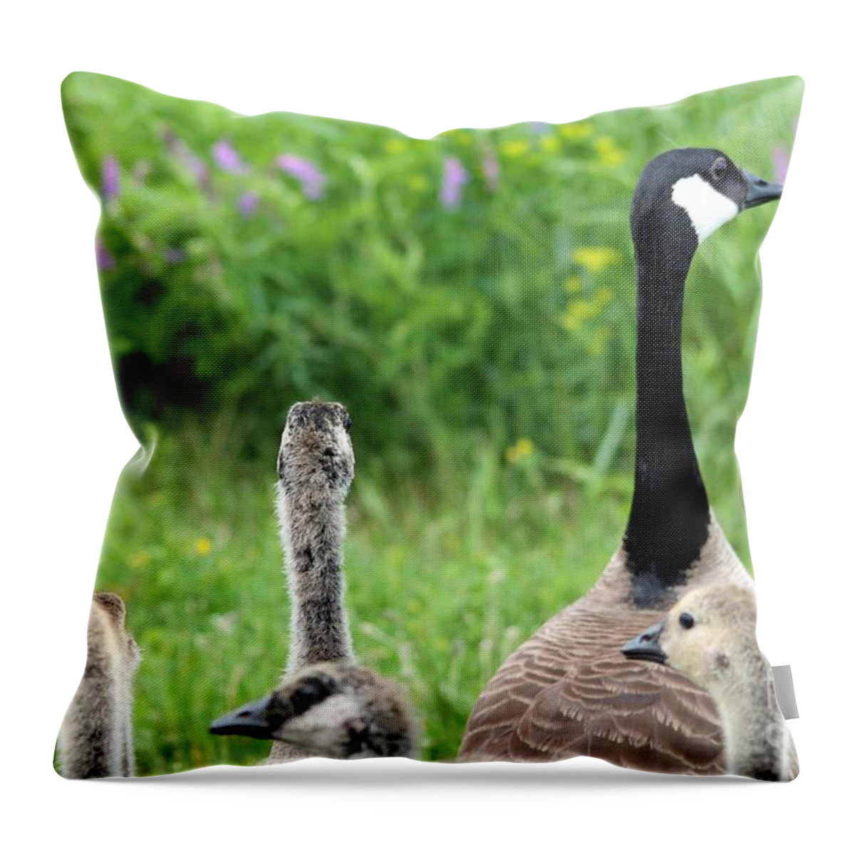 Mccombie Throw Pillow featuring the photograph Canada Geese #3 by J McCombie