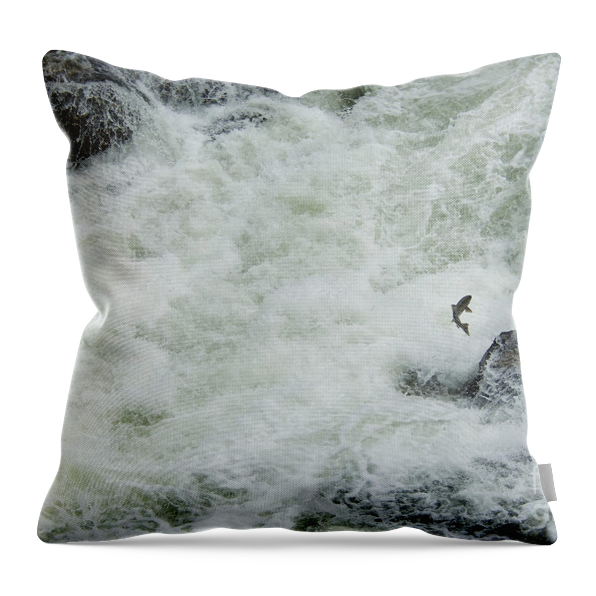 Nature Throw Pillow featuring the photograph Chinook Salmon #3 by William H. Mullins