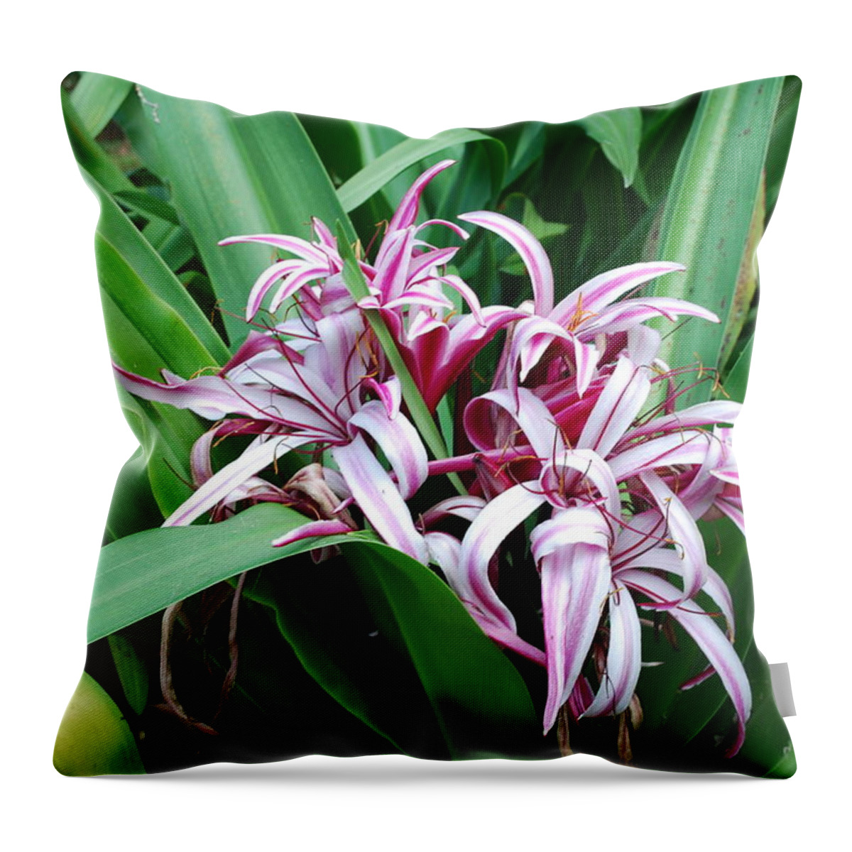 Tree Green Field Throw Pillow featuring the photograph Flor #3 by Rebeca Segura
