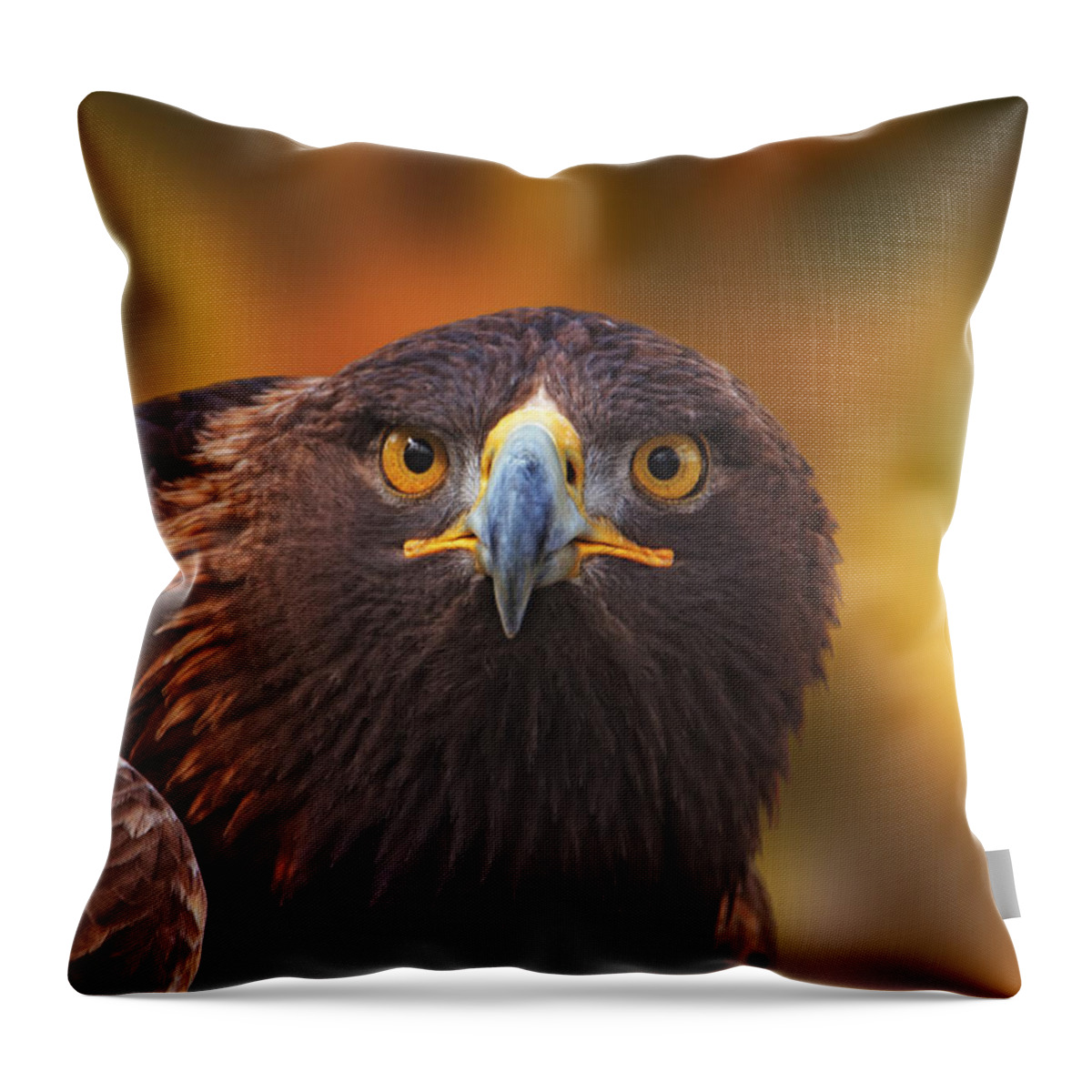 Animal Throw Pillow featuring the photograph Golden Eagle #3 by Brian Cross