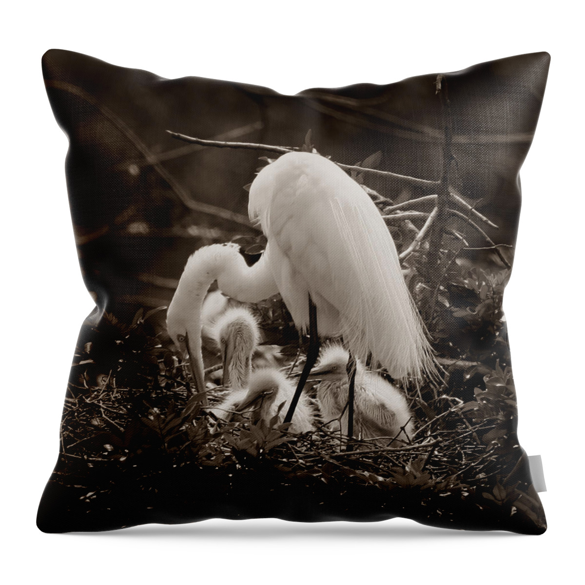 Black And White Throw Pillow featuring the photograph Great White Egret with Chicks #3 by Joseph G Holland