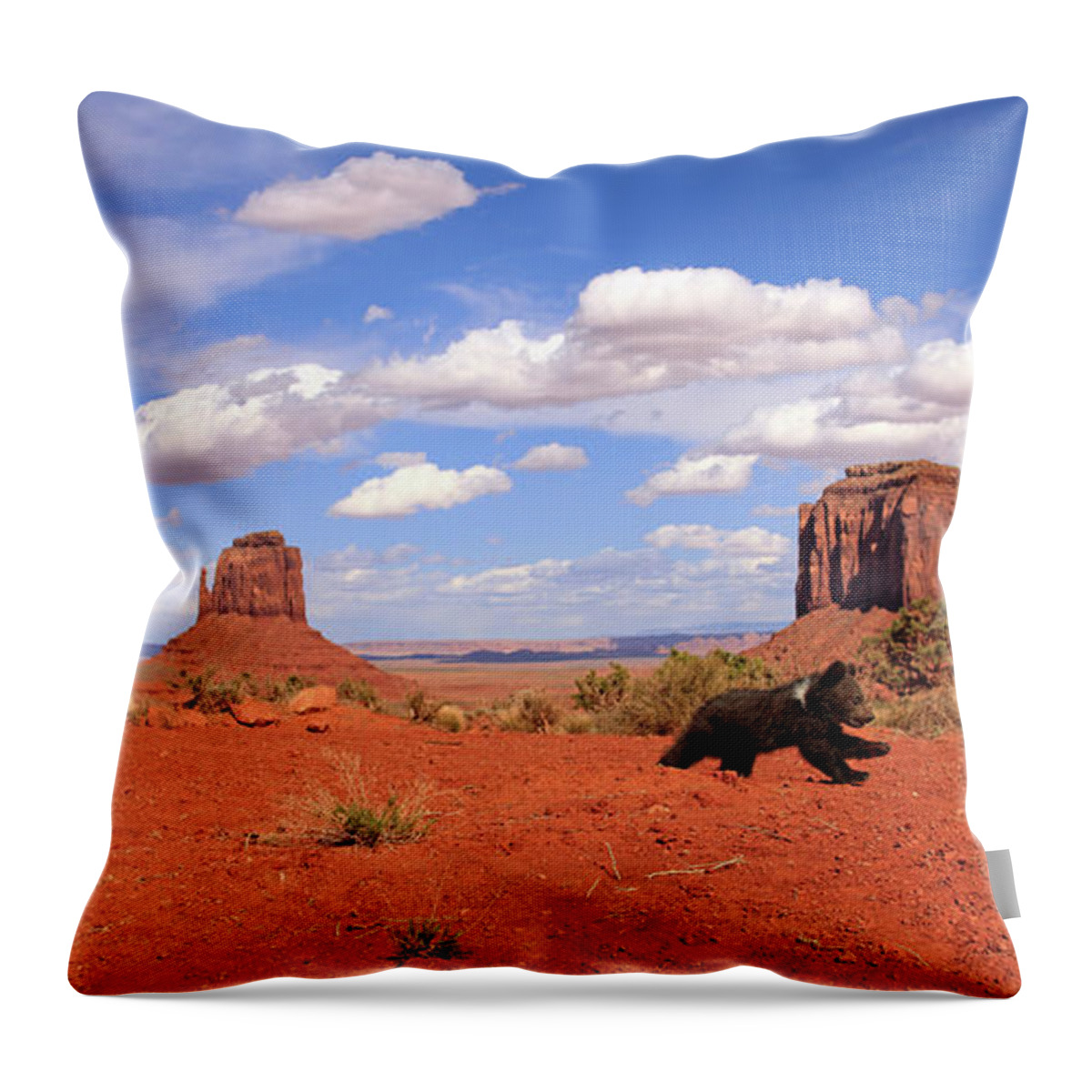 Scenics Throw Pillow featuring the photograph Grizzly Bear #3 by Tier Und Naturfotografie J Und C Sohns