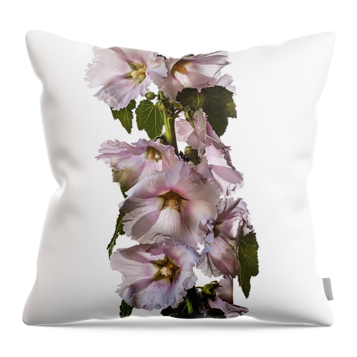 Flower Throw Pillow featuring the photograph Hollyhock #3 by Endre Balogh