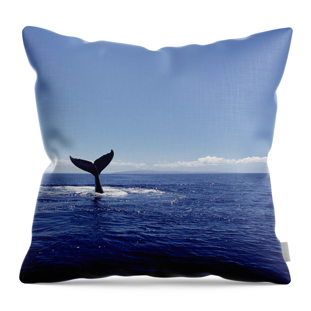 Feb0514 Throw Pillow featuring the photograph Humpback Whale Tail Lob Maui Hawaii #3 by Flip Nicklin