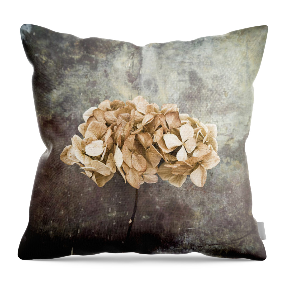 Abstract Throw Pillow featuring the photograph Hydrangea #2 by Maria Heyens
