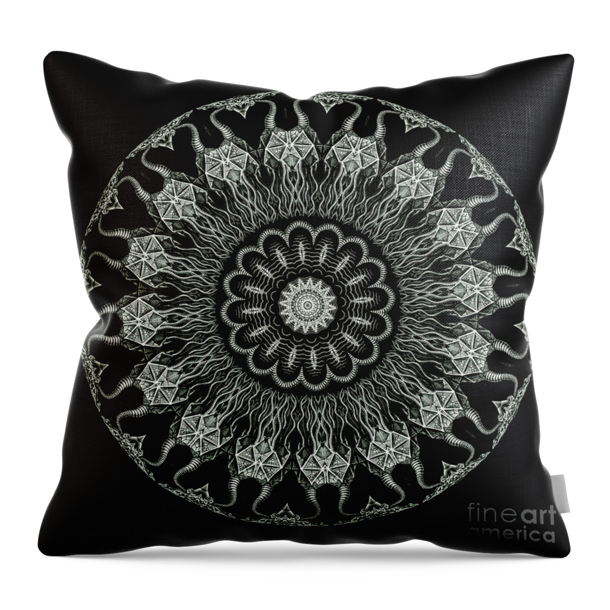 Ernst Haeckel Throw Pillow featuring the photograph Kaleidoscope Ernst Haeckl Sea Life Series Black and White Set On #3 by Amy Cicconi