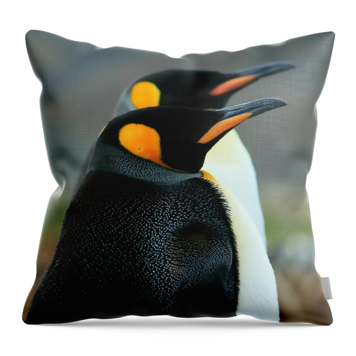 Two King Penguins Throw Pillow featuring the photograph King Penguins #3 by Amanda Stadther