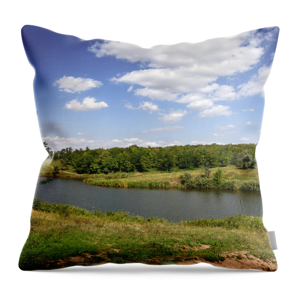 Water's Edge Throw Pillow featuring the photograph Landscape #3 by Savushkin