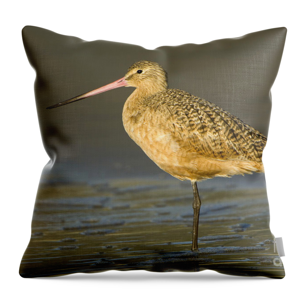 Nature Throw Pillow featuring the photograph Marbled Godwit #3 by John Shaw