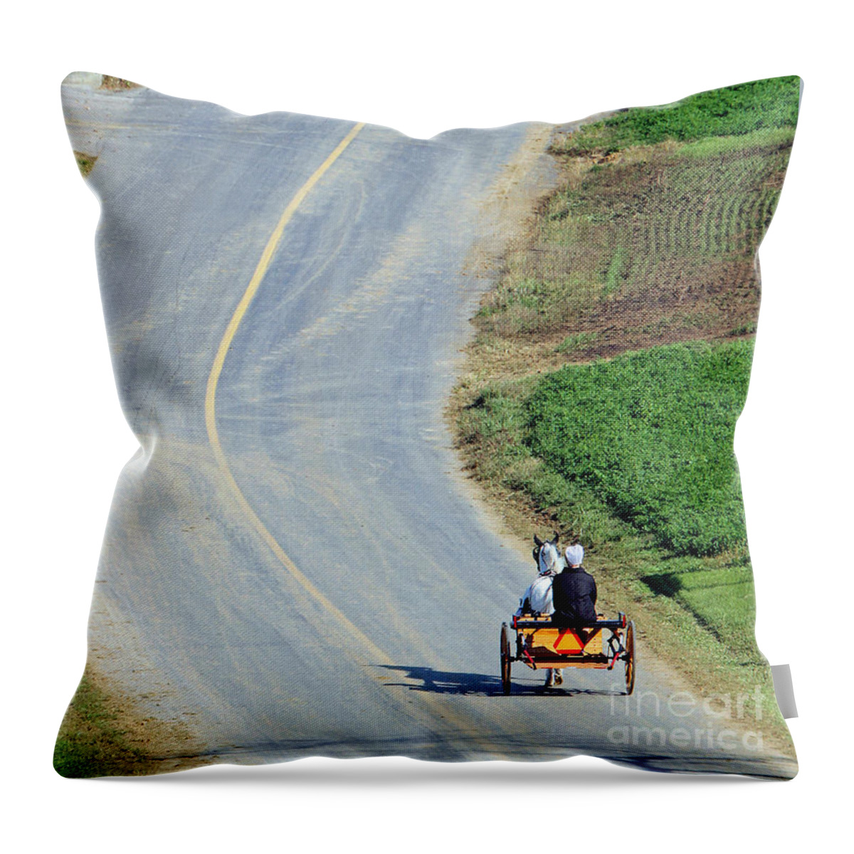 Amish Throw Pillow featuring the photograph Onward And Upward by Geoff Crego