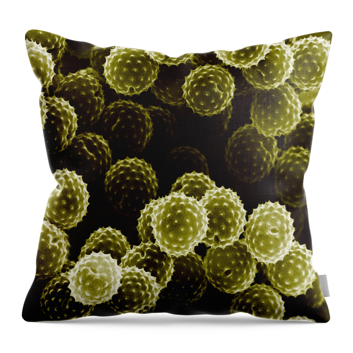 Allergen Throw Pillow featuring the photograph Ragweed Pollen Sem #3 by David M. Phillips / The Population Council