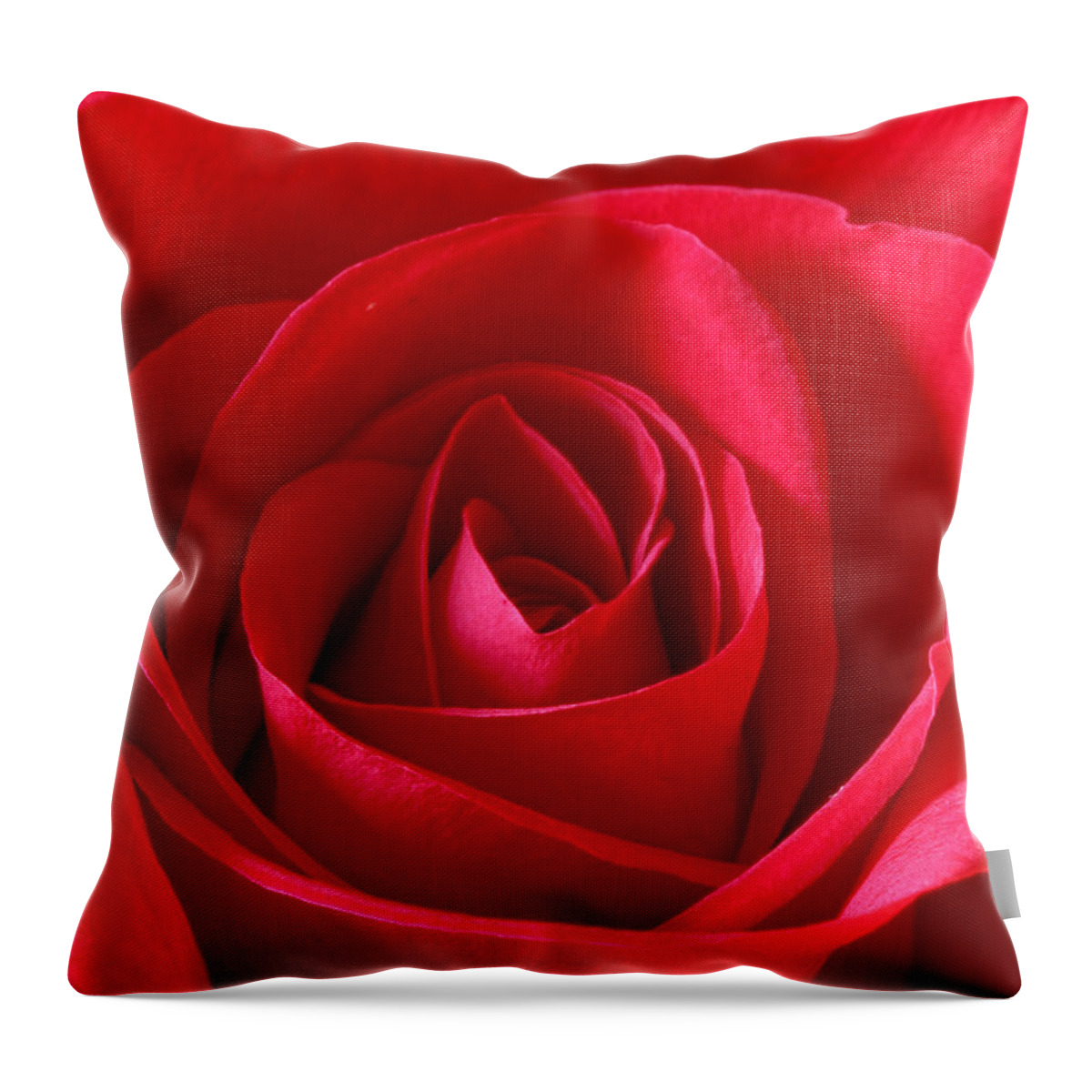 Background Throw Pillow featuring the photograph Red Rose #3 by Peter Lakomy