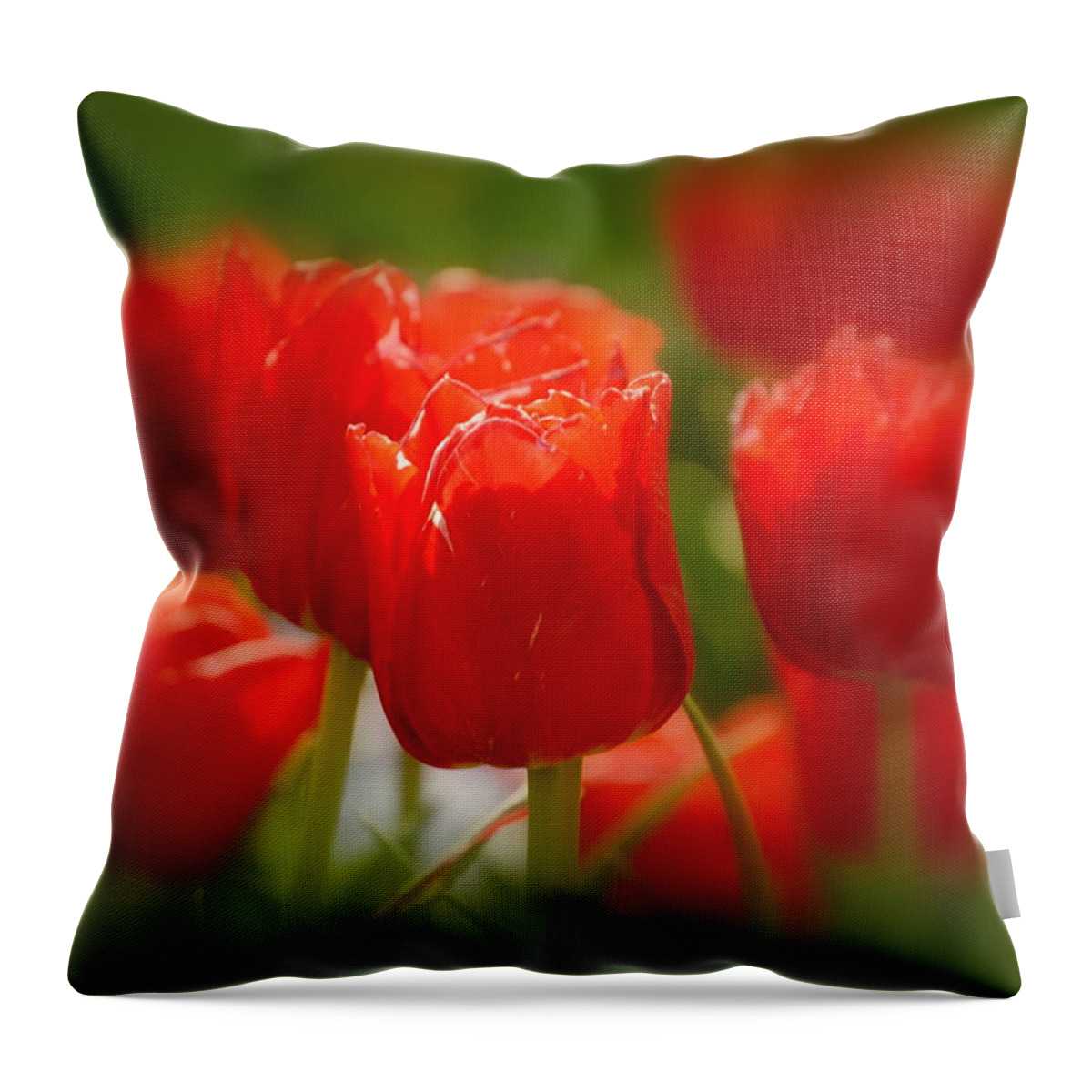 Red Throw Pillow featuring the photograph Red Tulips #3 by Nathan Abbott