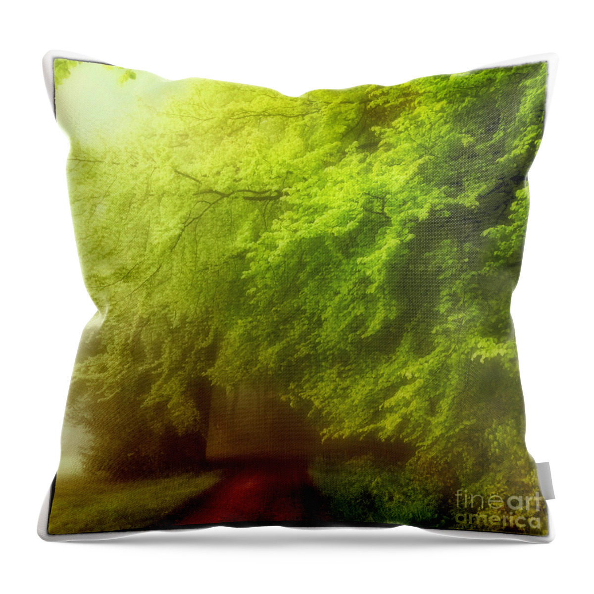 Romantic Throw Pillow featuring the photograph Romantic forest landscape #3 by Gina Koch