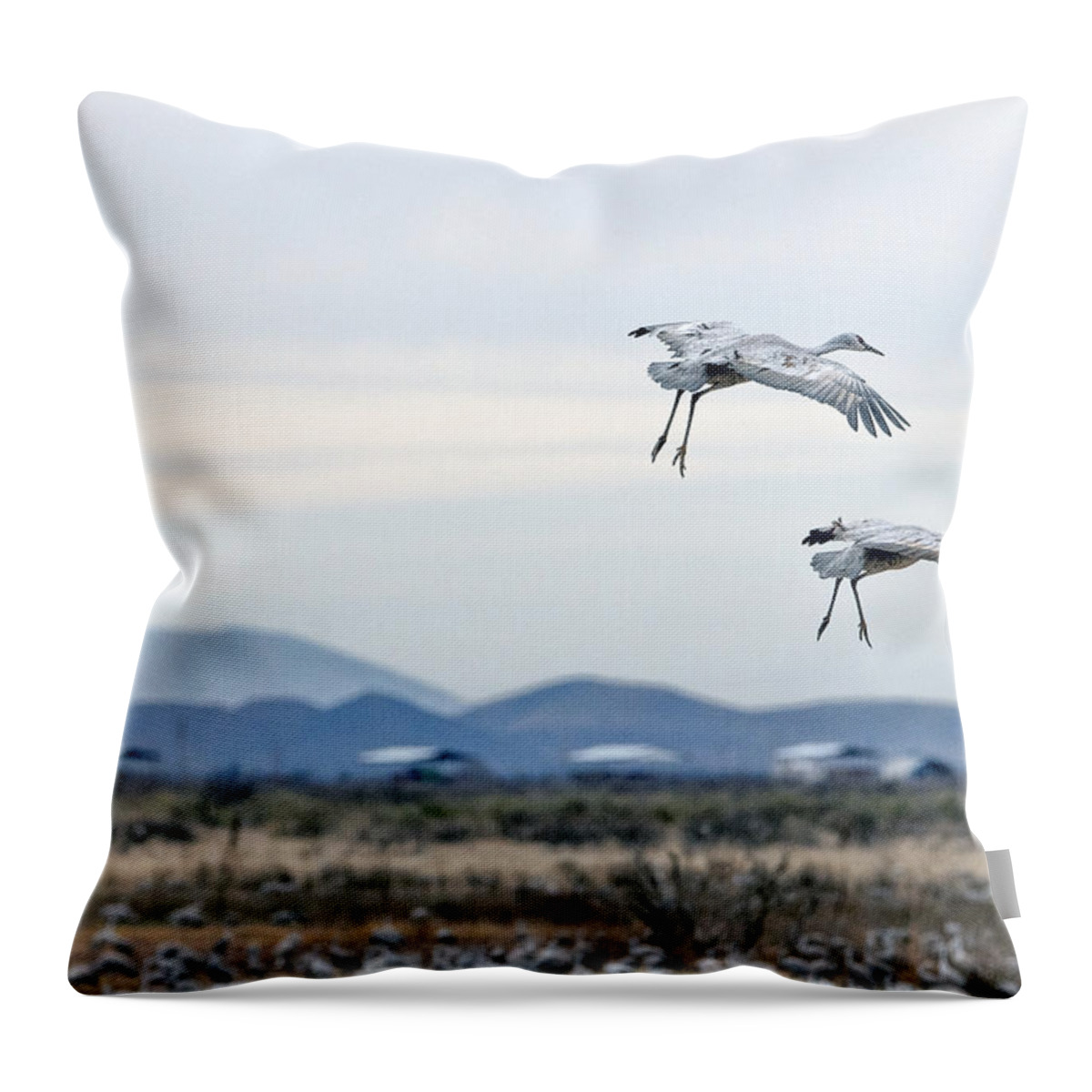 Sandhill Cranes Throw Pillow featuring the photograph Sandhill Cranes #4 by Tam Ryan