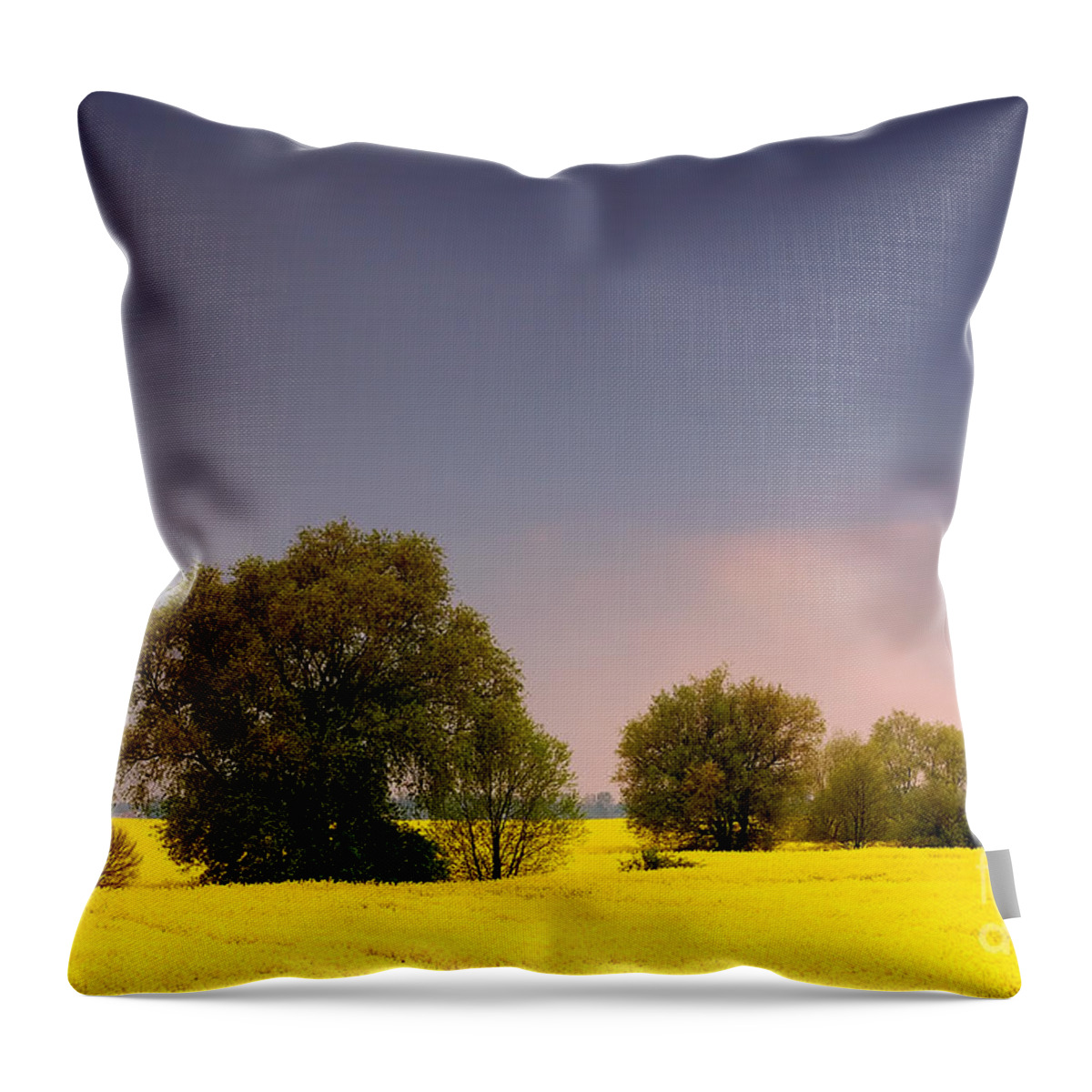 Agricultural Throw Pillow featuring the photograph Spring landscape #3 by Michal Bednarek
