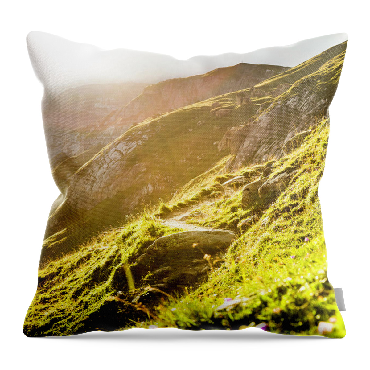 Tranquility Throw Pillow featuring the photograph Sun Rising Over Grassy Rural Hillside #3 by Manuel Sulzer