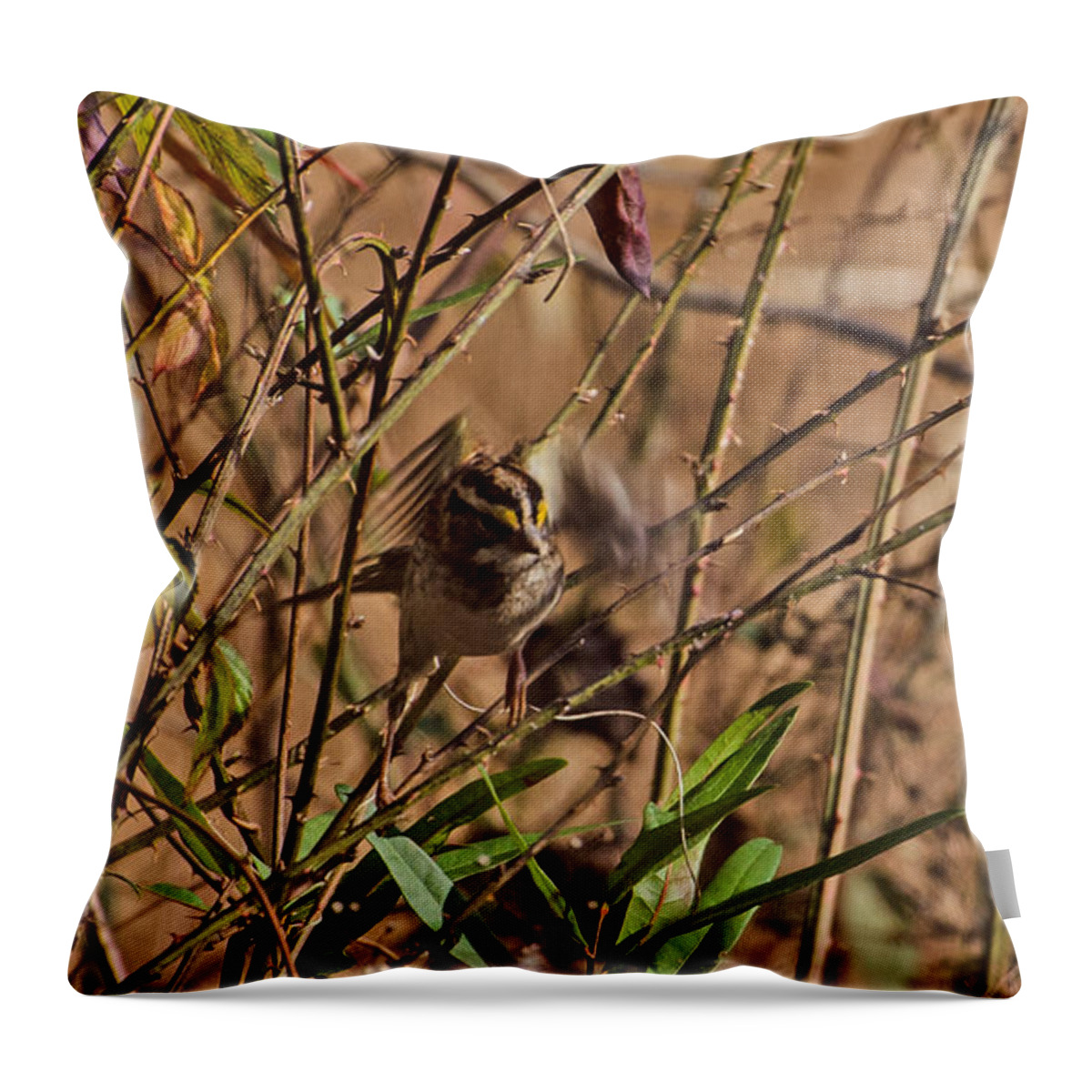 Bird Throw Pillow featuring the photograph Taking Off #2 by Donna Brown