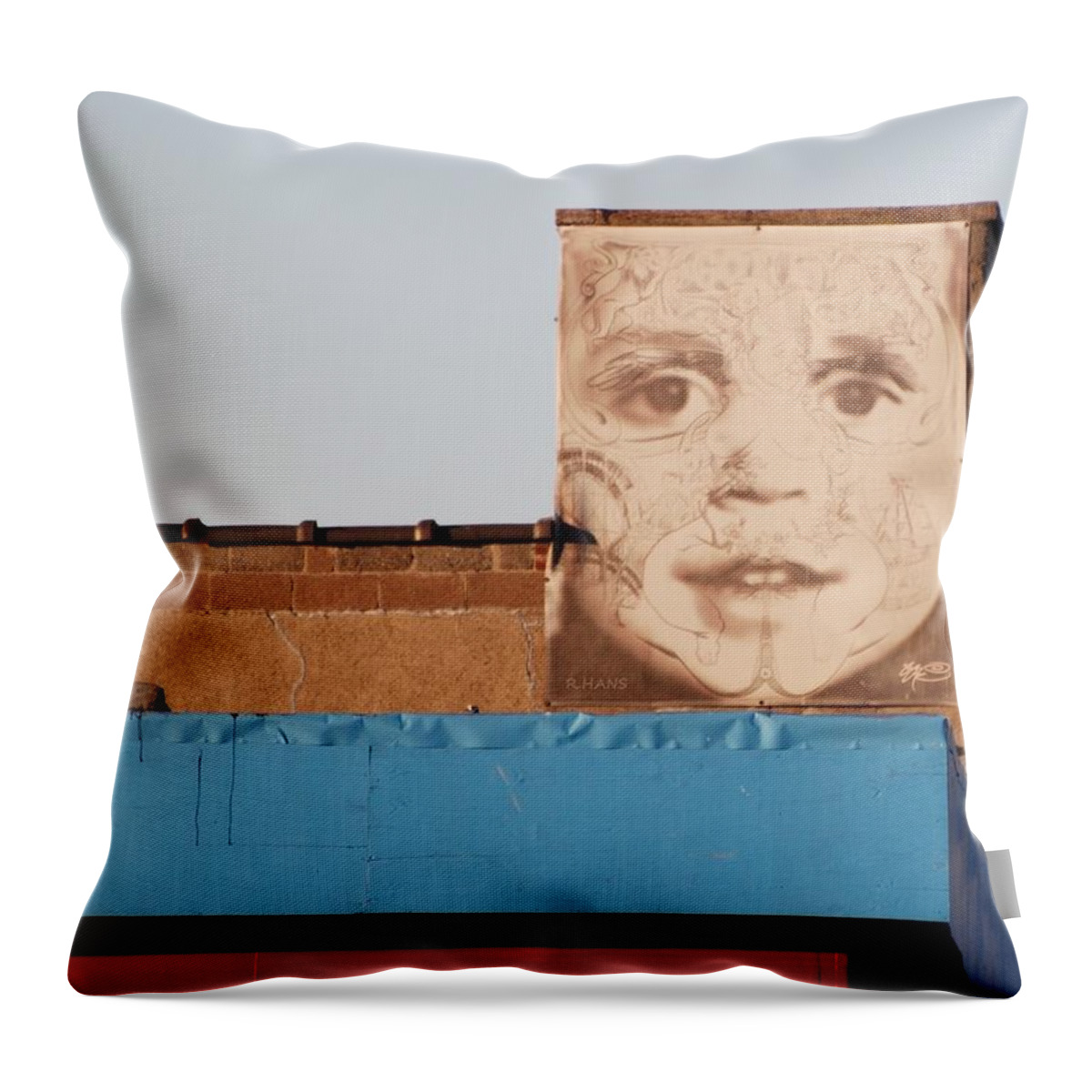 Brooklyn Throw Pillow featuring the photograph The Face #3 by Rob Hans