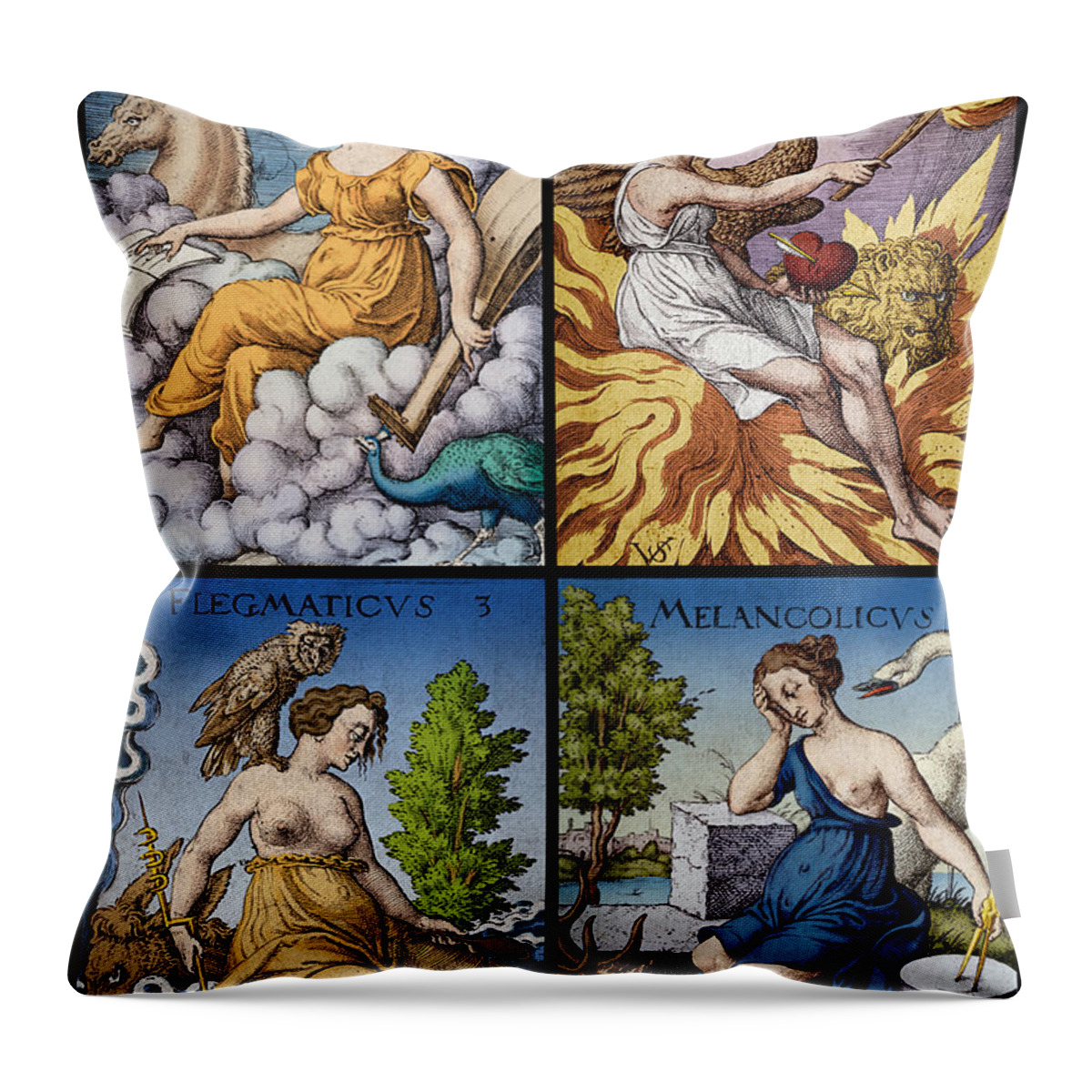 Science Throw Pillow featuring the photograph The Four Humors Of Hippocratic Medicine #3 by Science Source