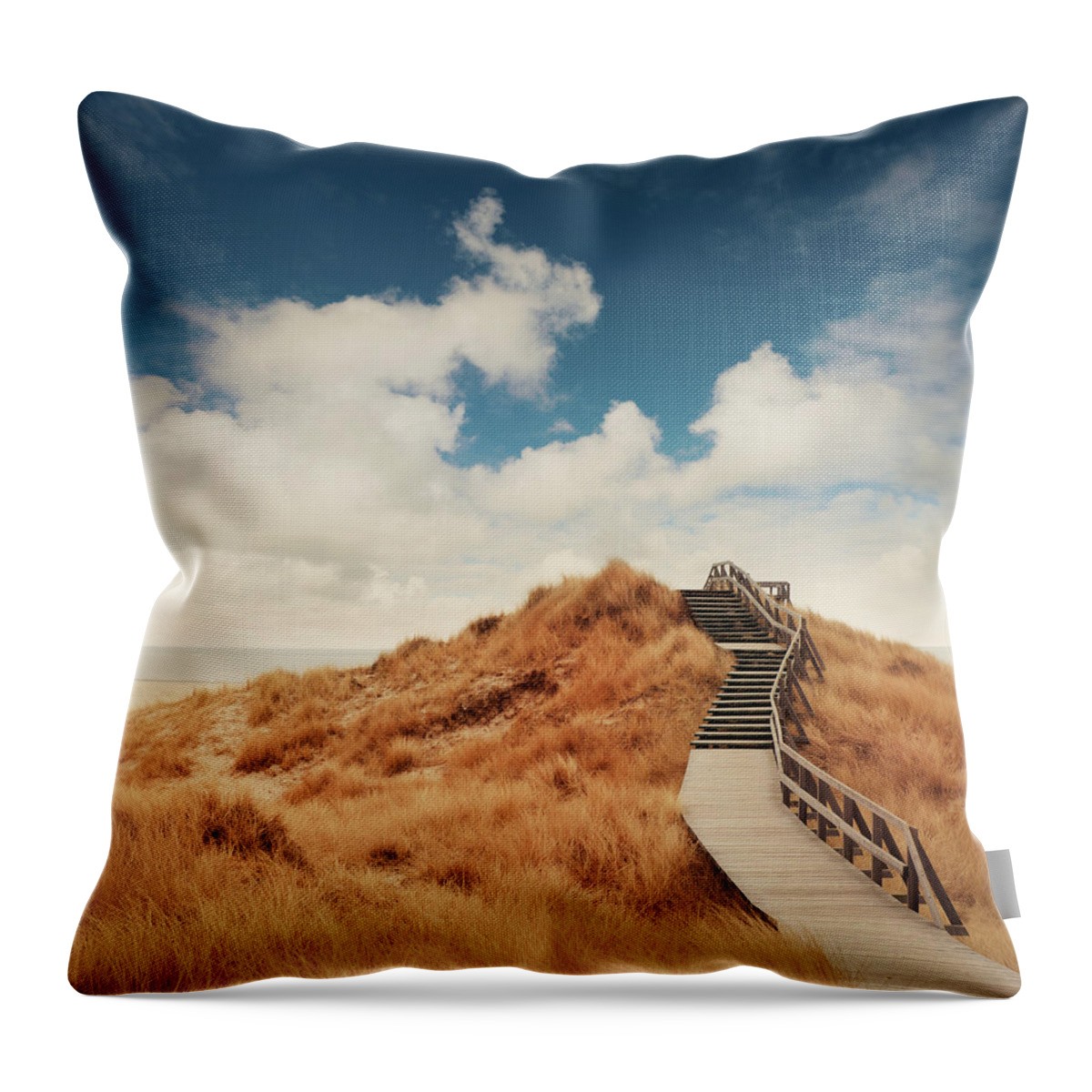 Grass Family Throw Pillow featuring the photograph Way Through The Dunes #3 by Ppampicture
