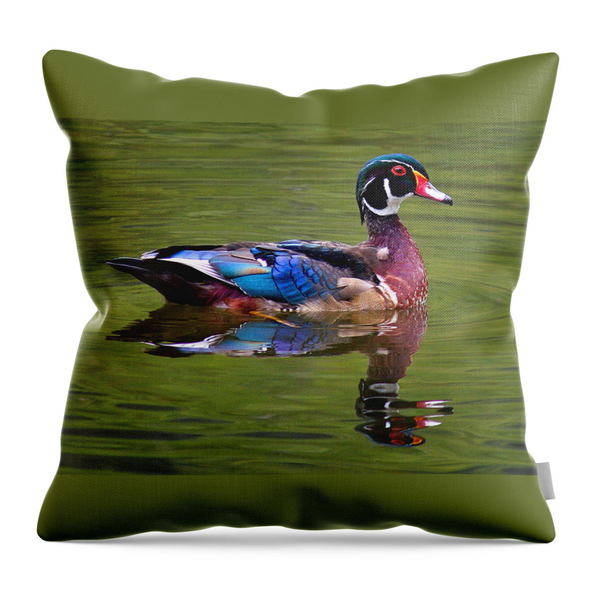 Swimming Male Wood Duck Throw Pillow featuring the photograph Wood duck by Jean Noren