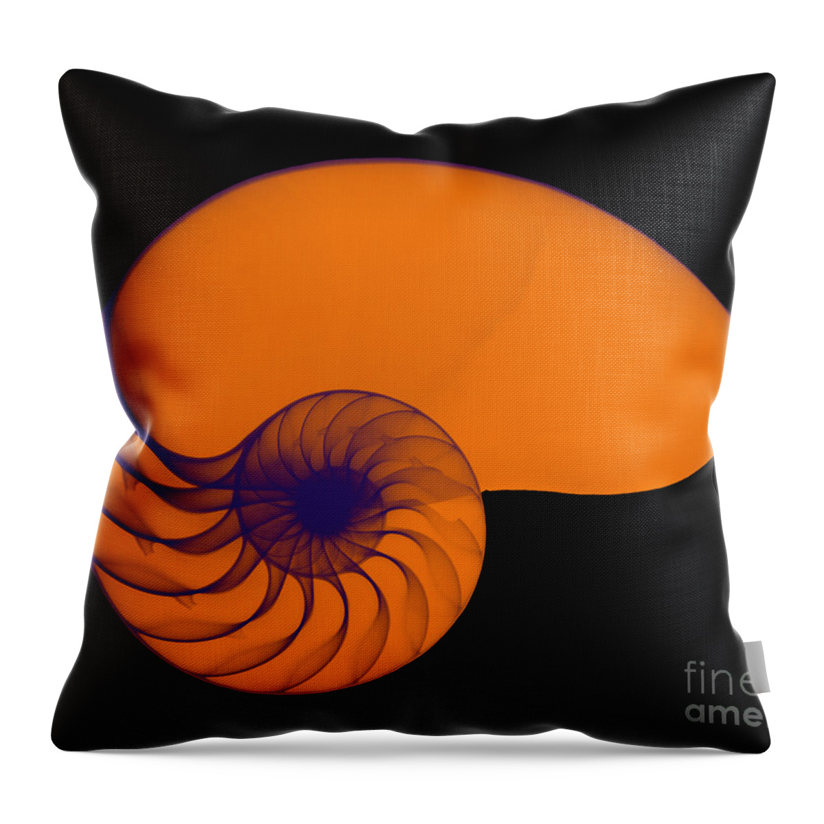 Radiograph Throw Pillow featuring the photograph X-ray Of Nautilus #5 by Bert Myers