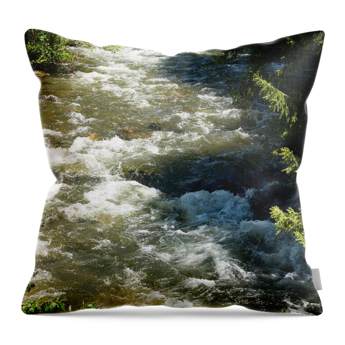 Water Throw Pillow featuring the photograph Run Away by Tara Lynn