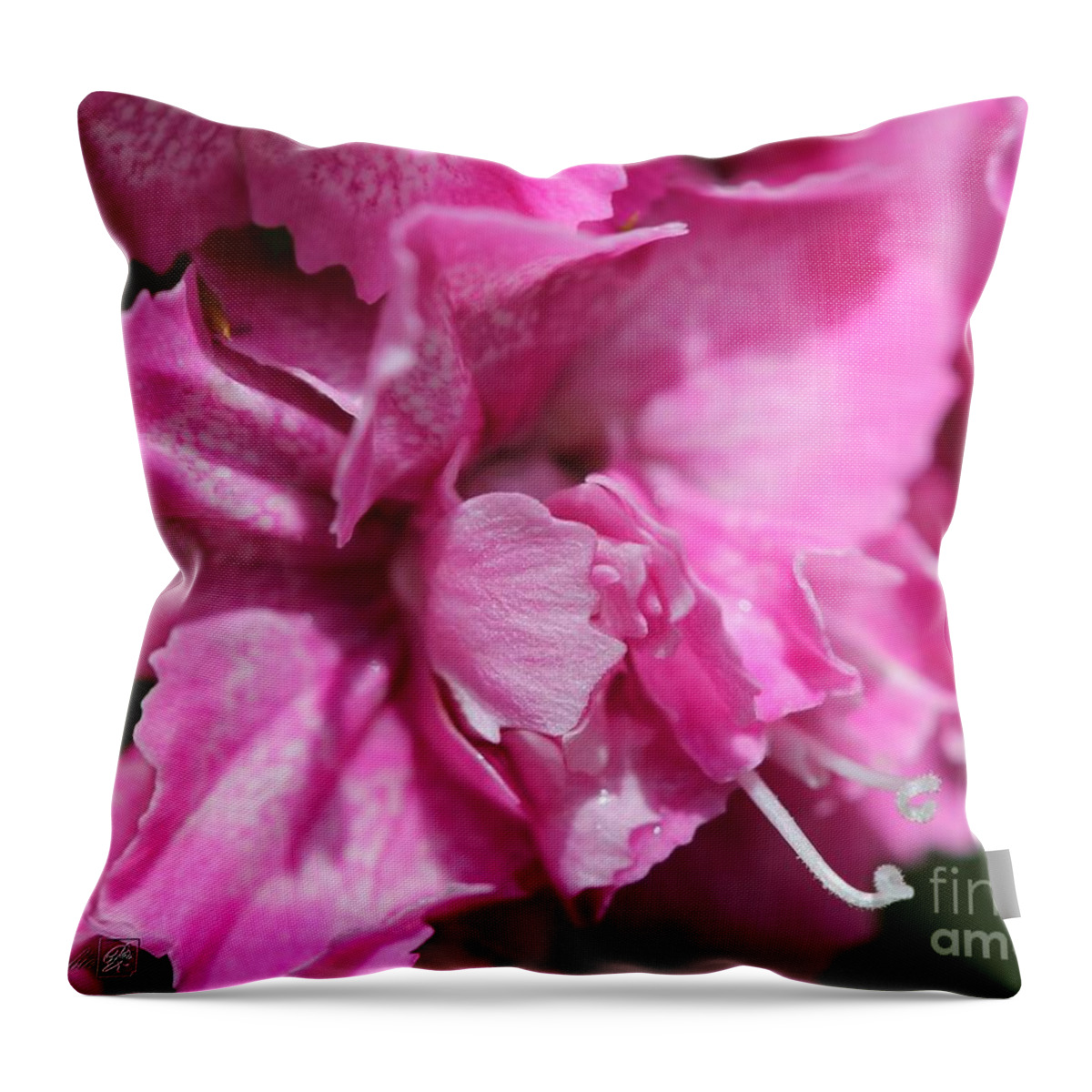 Mccombie Throw Pillow featuring the photograph Sweet William from the Super Duplex Bluepoint Mix #30 by J McCombie