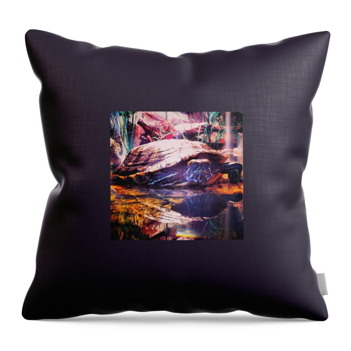 Turtle Throw Pillow featuring the photograph Padme the Turtle by Jenna Collier