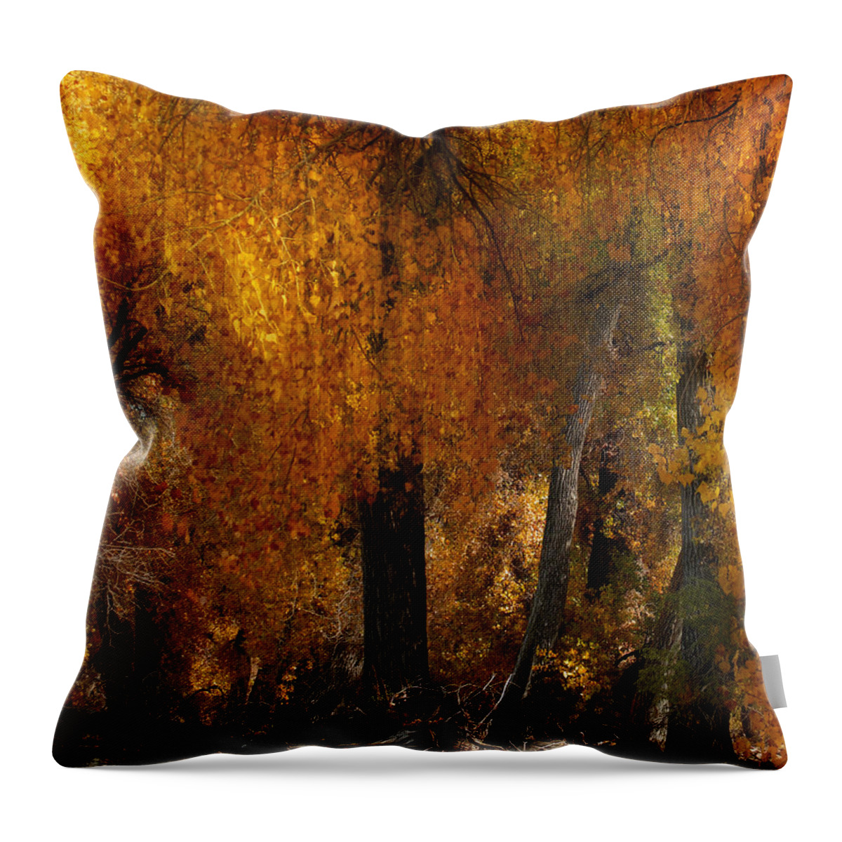 Trees Throw Pillow featuring the photograph 3777 by Peter Holme III