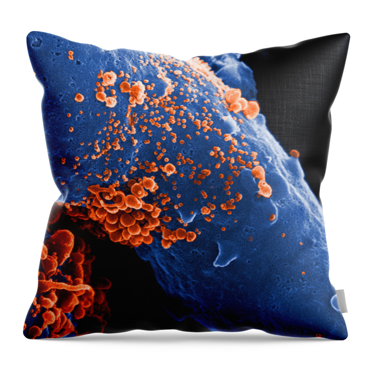 Science Throw Pillow featuring the photograph Aids Virus #4 by Dr. Cecil H. Fox
