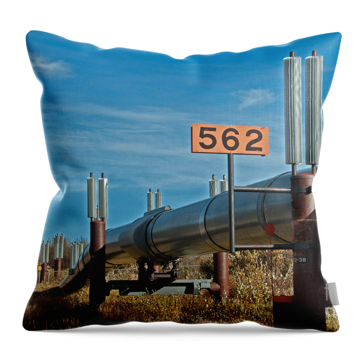 Nature Throw Pillow featuring the photograph Alaska Oil Pipeline #4 by Mark Newman