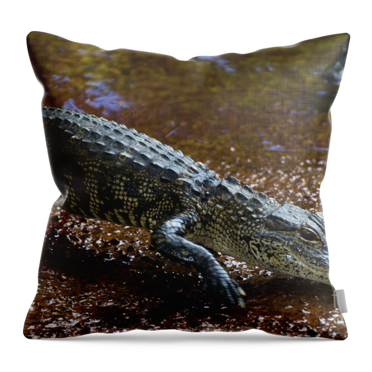 Nature Throw Pillow featuring the photograph American Alligator #4 by Mark Newman