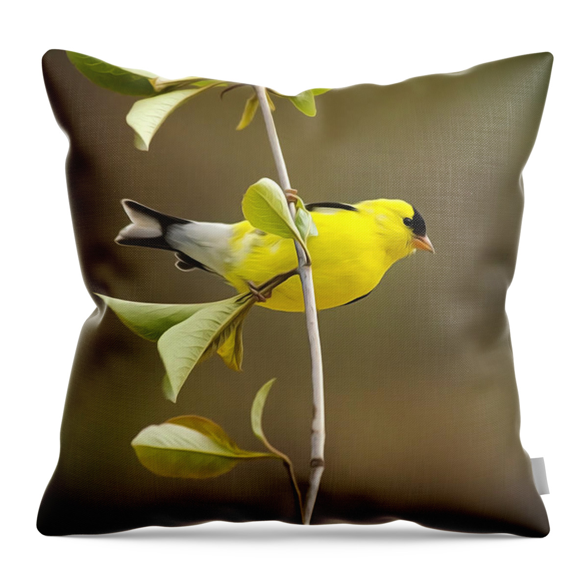 Goldfinch Throw Pillow featuring the painting American Goldfinch by Christina Rollo