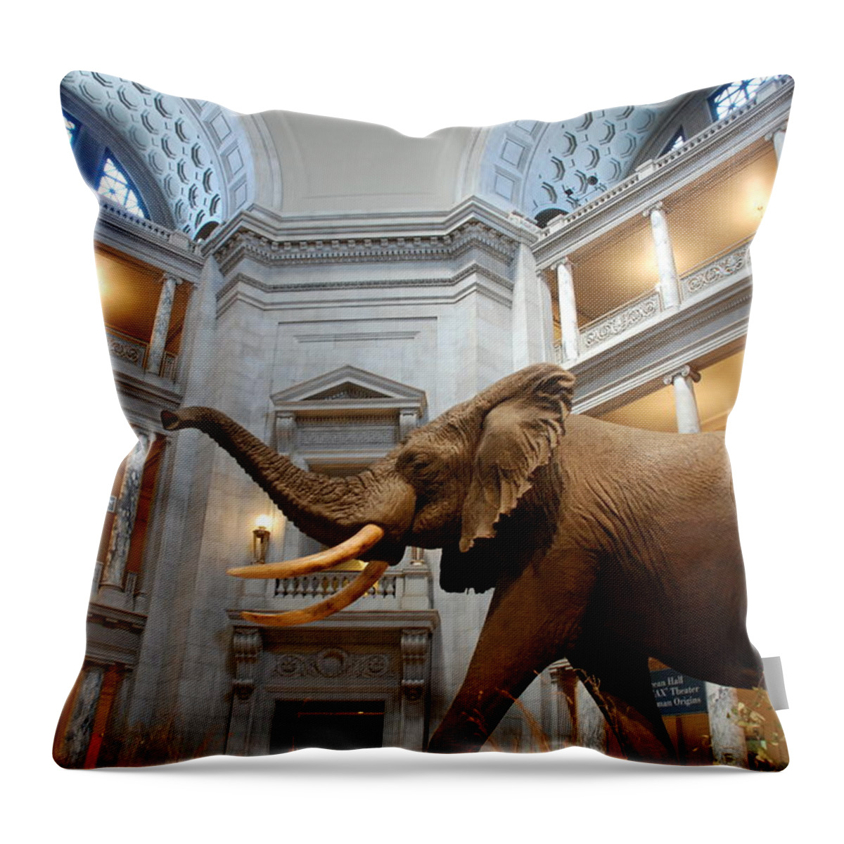 Bull Elephant Throw Pillow featuring the photograph Bull Elephant in Natural History Rotunda #4 by Kenny Glover