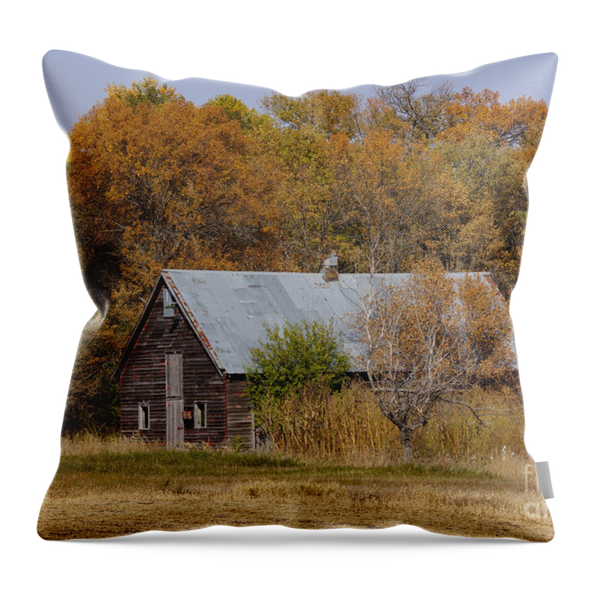 Barn Throw Pillow featuring the photograph Changing colors #4 by Lori Tordsen