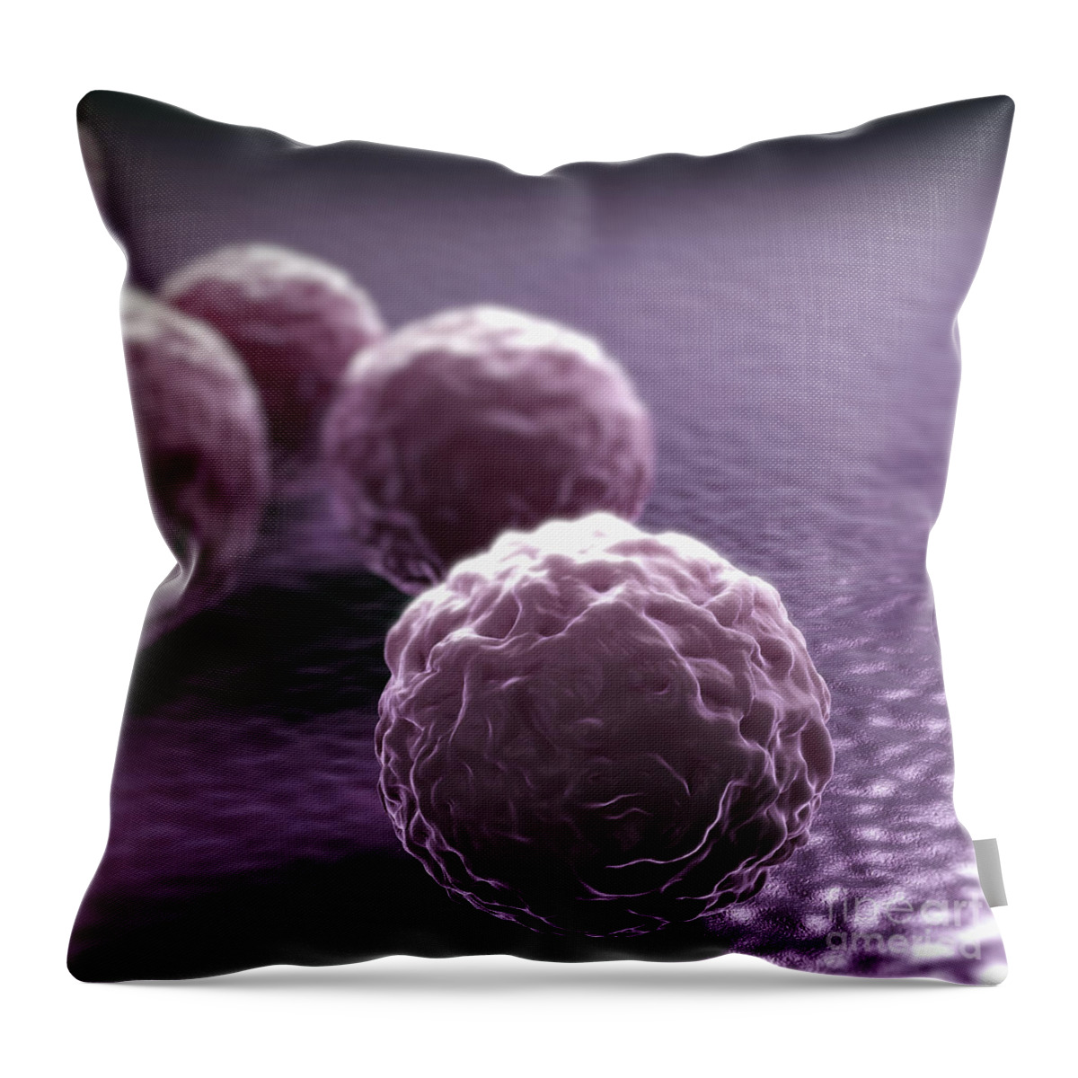 Cells Throw Pillow featuring the photograph Chlamydia Bacteria #4 by Science Picture Co