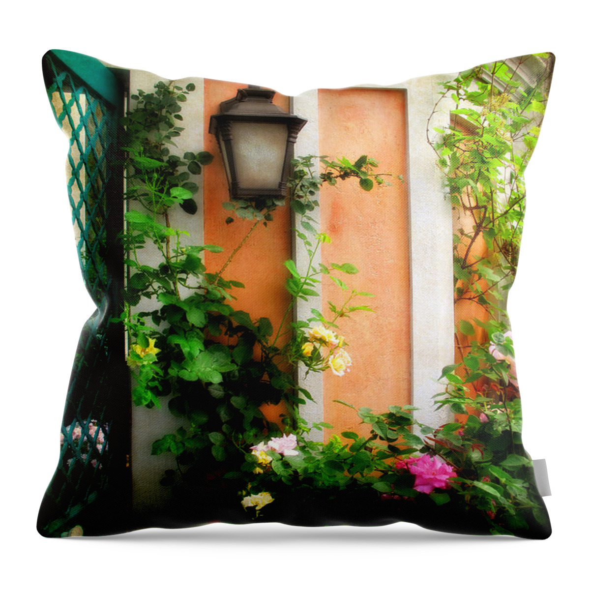 Monet Throw Pillow featuring the photograph Country Charm #1 by Jessica Jenney